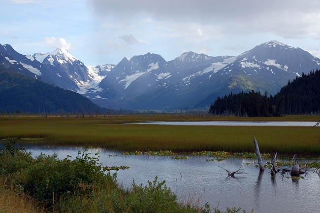 Tern Lake2