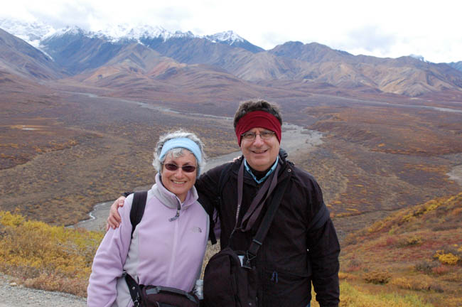 D&L in Denali