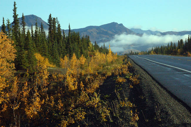 Parks Highway to Denali