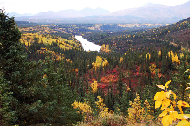 autumn colors