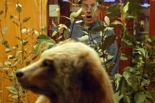 Museum of the North1