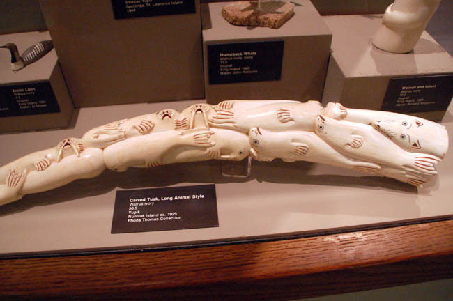 Museum of the North3