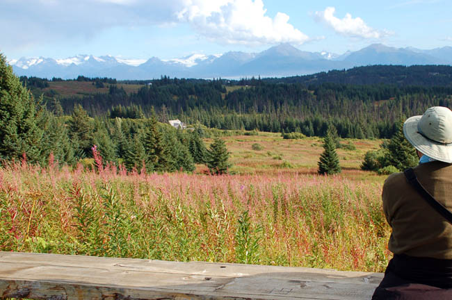 Homestead Trail2