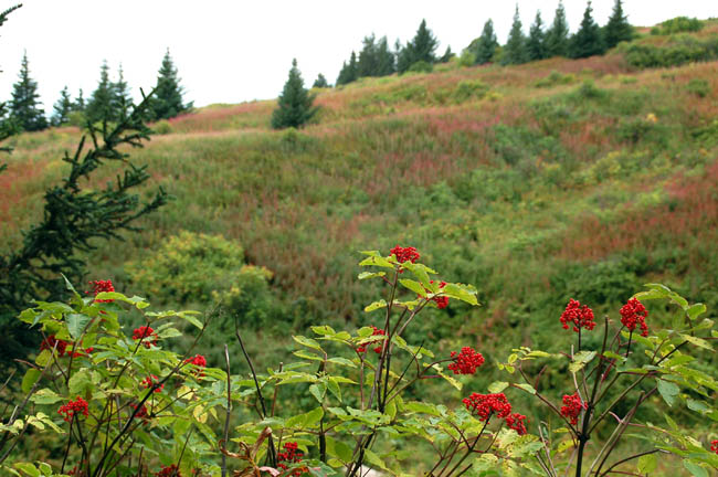 Homestead Trail3