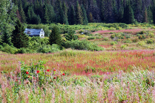 Homestead Trail5