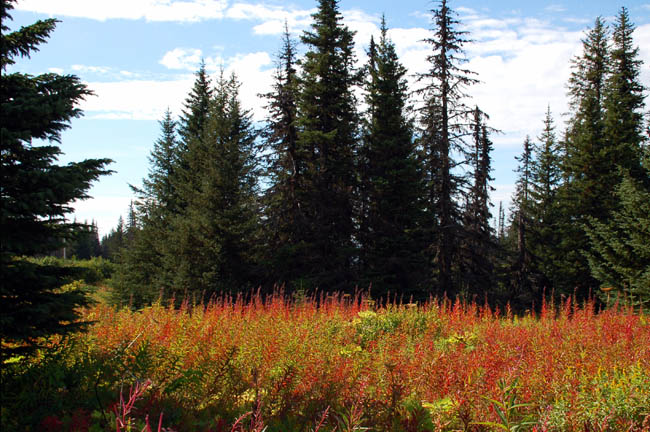 Homestead Trail6