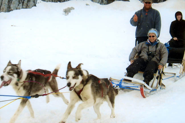 dogsled1
