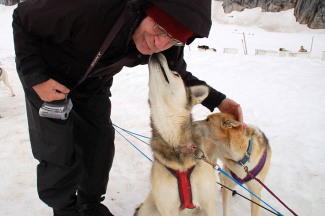 dogsled7