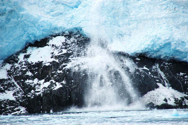 Aialik Glacier calving4