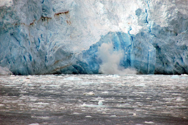 Aialik Glacier calving6