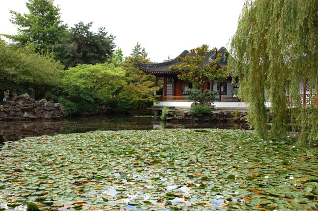 Chinese garden