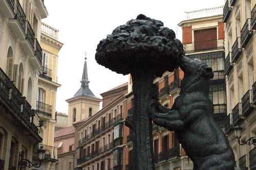 city8