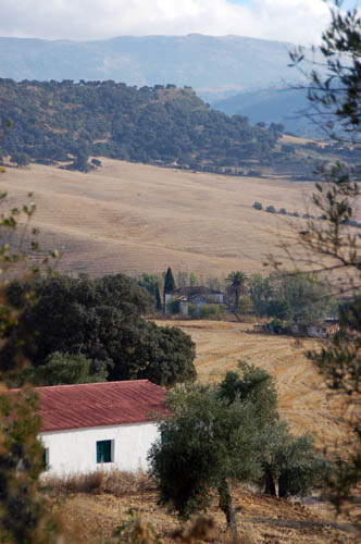 Ronda-valley2