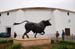 Ronda-Plaza de Toros5