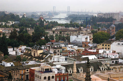 tower-view4