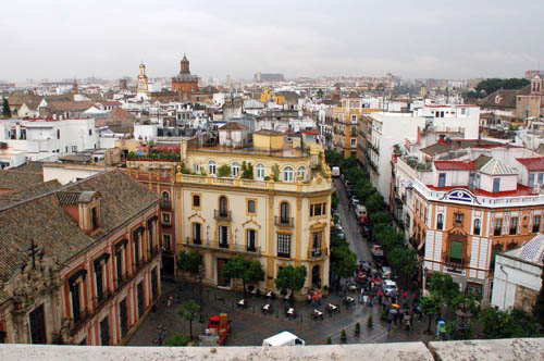 tower-view6