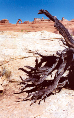 Delicate Arch