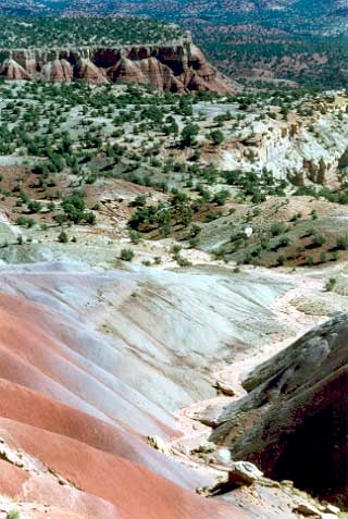 Escalante