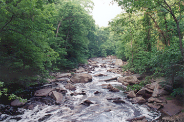 Rock Creek in summer
