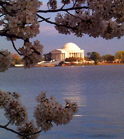 The Jefferson Memorial gleams in the spring sunshine